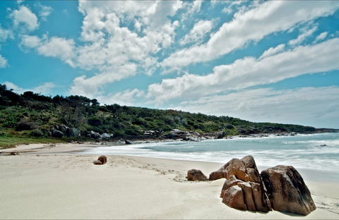 Fishermans Bay Foreshore - New Castle Tourism 0