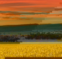 Galore Hill Scenic Reserve - Newcastle Accommodation