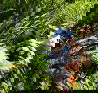 Georges Head - Newcastle Accommodation