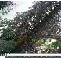 Henty Government Dam Nature Reserve - Newcastle Accommodation