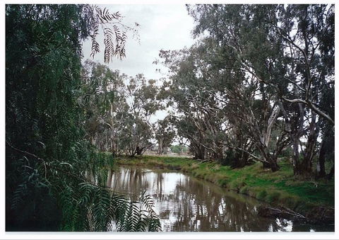 Henty Government Dam Nature Reserve - Newcastle Accommodation 0