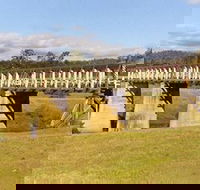 Historic Tabulam DeBurgh Timber Bridge - New Castle Tourism