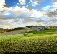 Hodgson Vale - Newcastle Accommodation