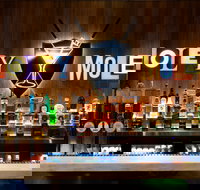 Holey Moley Wollongong