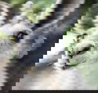 John Egan Pioneer Track - Newcastle Accommodation