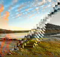 Killalea Reserve - Newcastle Accommodation