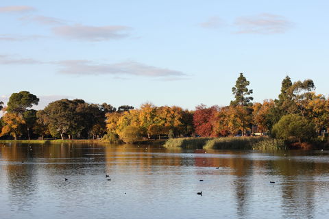 Lake Weeroona - New Castle Tourism 0