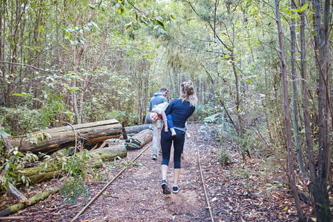 Lyrebird Circuit Walk - New Castle Tourism 1