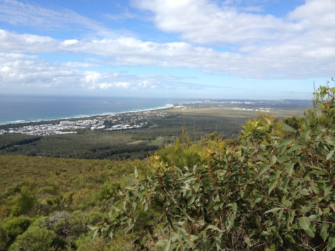 Mount Coolum National Park - Newcastle Accommodation 0