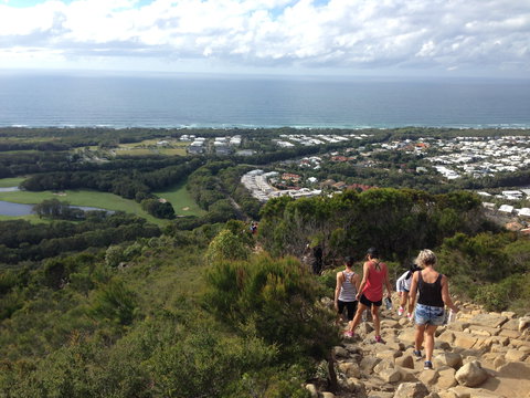 Mount Coolum National Park - Newcastle Accommodation 1