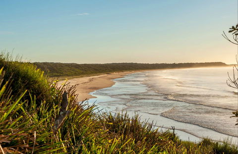 Narrawallee Creek Nature Reserve - New Castle Tourism 0