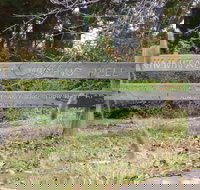 Nimmitabel Heritage Walk - Newcastle Accommodation