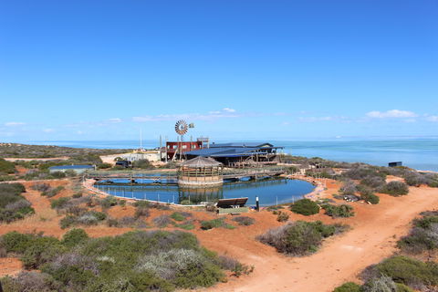 Ocean Park Aquarium - New Castle Tourism 1
