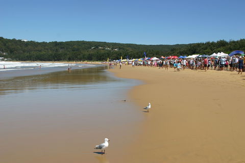 Ocean Beach Umina - Newcastle Accommodation 0