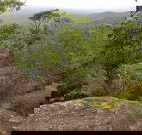Pigeon House Mountain Didthul Walking Track - New Castle Tourism