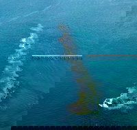 Port Noarlunga Reef Sanctuary Zone - Encounter Marine Park