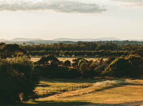 Rutherglen Wine Bottle - New Castle Tourism 2
