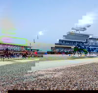 Tabcorp Park - New Castle Tourism