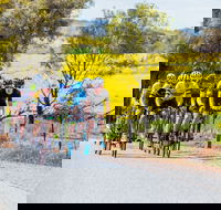 The Heron's Highway - Avon River Cycle Trail - New Castle Tourism