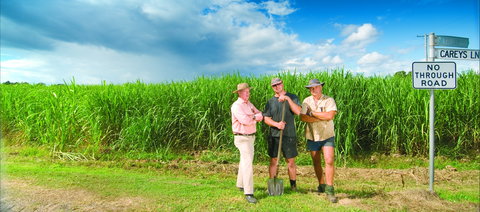 The Shed Gallery - Newcastle Accommodation 0