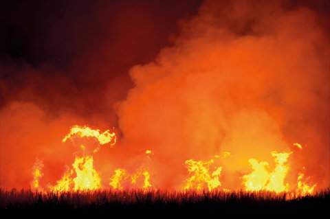 The Shed Gallery - Newcastle Accommodation 1