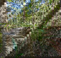 Thylogale Track - New Castle Tourism