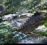 Towarri National Park - New Castle Tourism