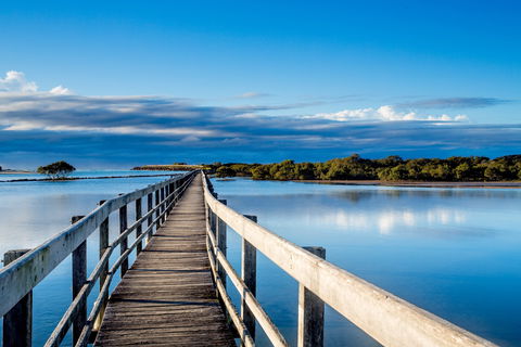 Urunga Boardwalk - New Castle Tourism 1