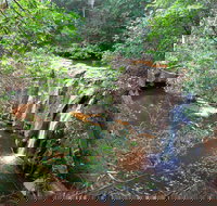 Waitui Falls - Newcastle Accommodation