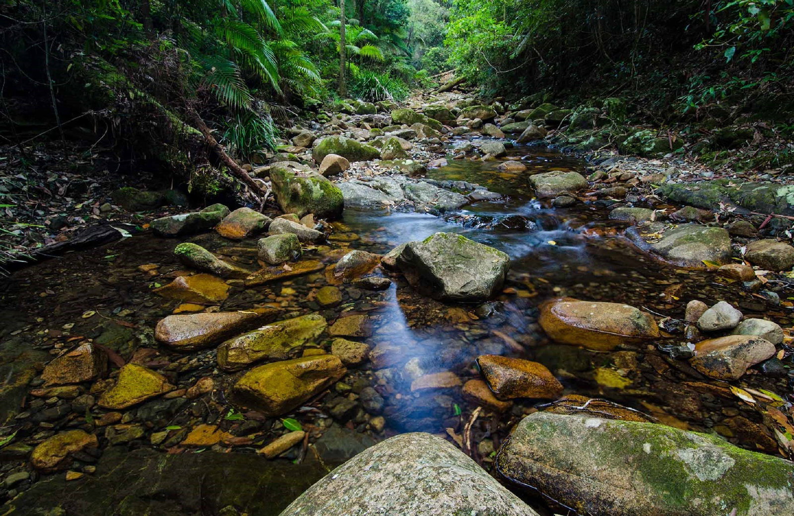 Willi Willi NSW Newcastle Accommodation