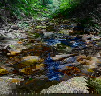 Willi Willi - Newcastle Accommodation