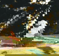 Aberdeen Golf Club - Newcastle Accommodation