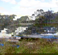 Baldwin Swamp Environmental Park - New Castle Tourism