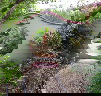 Black Dragon Gardens Wulong Yuan