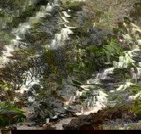 Buddong Falls Walking Track - Newcastle Accommodation