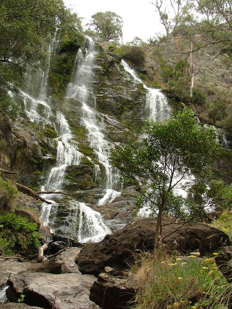 Buddong Falls Walking Track - Newcastle Accommodation 0