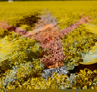 Canola Trail - Newcastle Accommodation