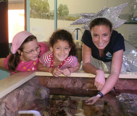Central Coast Marine Discovery Centre - New Castle Tourism 0