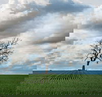 Clare Valley - New Castle Tourism