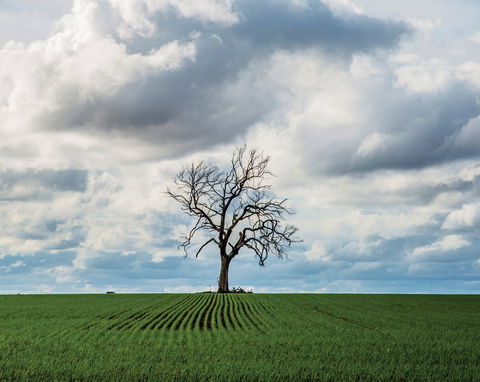 Clare Valley - Newcastle Accommodation 0