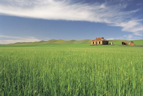 Clare Valley - Newcastle Accommodation 1