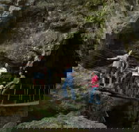 Day trips from Rockhampton - New Castle Tourism