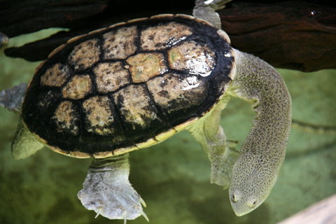 Discover Deadly - Newcastle Accommodation 1