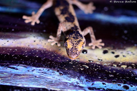 Discover Deadly - Newcastle Accommodation 2