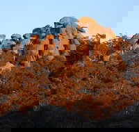 Evans Crown Nature Reserve - Newcastle Accommodation