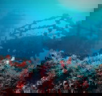 ex HMAS Adelaide - Newcastle Accommodation