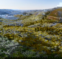 Gold Coast Hinterland Great Walk