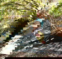 Haig Street Quarry Bushland Reserve Trails - New Castle Tourism