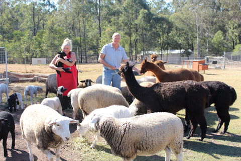 Haigslea EWE Nique Hobby Farm - New Castle Tourism 0