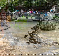 Hartley's Crocodile Adventures - New Castle Tourism